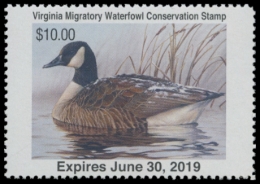 Picture of 2018 Virginia Duck Stamp