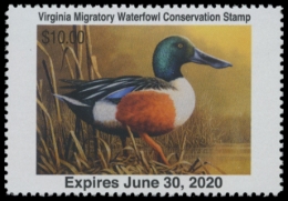 Picture of 2019 Virginia Duck Stamp