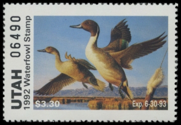 Picture of 1992 Utah Duck Stamp