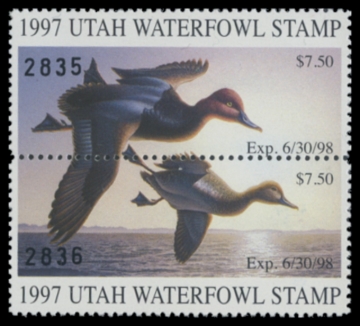 Picture of 1997 Utah Duck Stamp