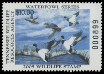 Picture of 2005 Tennessee Duck Stamp