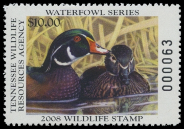 Picture of 2008 Tennessee Duck Stamp