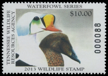 Picture of 2013 Tennessee Duck Stamp
