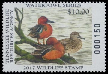Picture of 2017 Tennessee Duck Stamp