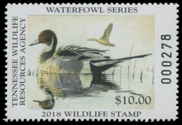 Picture of 2018 Tennessee Duck Stamp