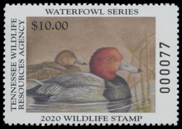 Picture of 2020 Tennessee Duck Stamp