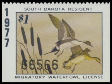Picture of 1977 South Dakota Duck Stamp