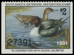 Picture of 1991 South Dakota Duck Stamp