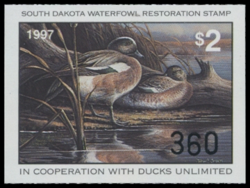 Picture of 1997 South Dakota Duck Stamp