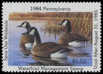 Picture of 1984 Pennsylvania Duck Stamp