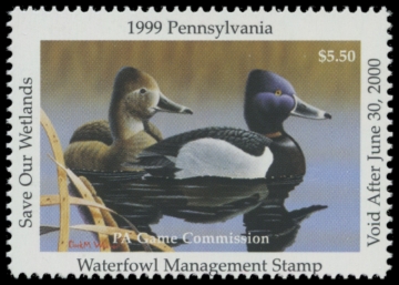 Picture of 1999 Pennsylvania Duck Stamp