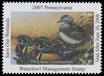 Picture of 2007 Pennsylvania Duck Stamp
