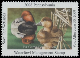 Picture of 2008 Pennsylvania Duck Stamp