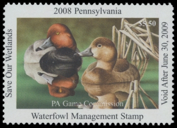 Picture of 2008 Pennsylvania Duck Stamp