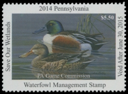Picture of 2014 Pennsylvania Duck Stamp