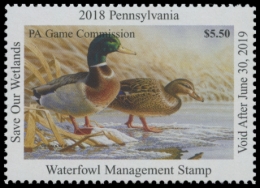 Picture of 2018 Pennsylvania Duck Stamp