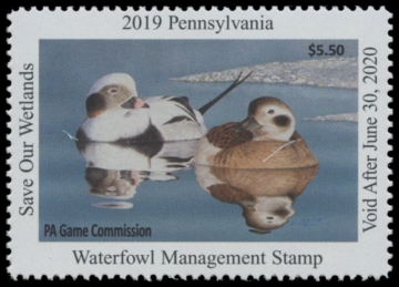 Picture of 2019 Pennsylvania Duck Stamp