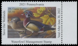Picture of 2021 Pennsylvania Duck Stamp