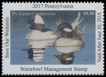 Picture of 2017 Pennsylvania Duck Stamp