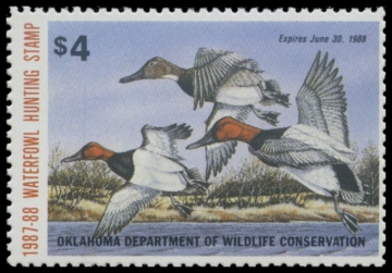 Picture of 1987 Oklahoma Duck Stamp