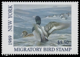 Picture of 1989 New York Duck Stamp