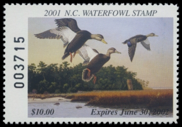 Picture of 2001 North Carolina Duck Stamp