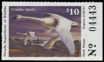 Picture of 2006 Nevada Duck Stamp