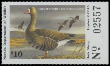 Picture of 2015 Nevada Duck Stamp
