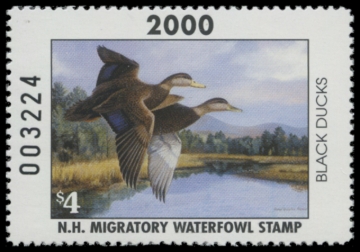 Picture of 2000 New Hampshire Duck Stamp