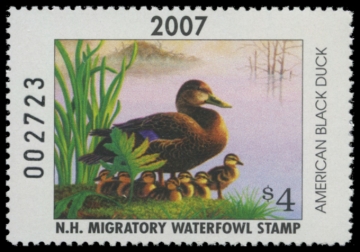 Picture of 2007 New Hampshire Duck Stamp