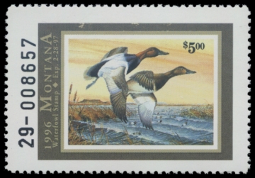 Picture of 1996 Montana Duck Stamp