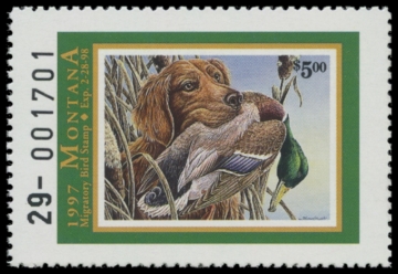 Picture of 1997 Montana Duck Stamp