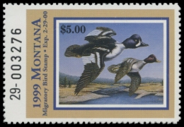 Picture of 1999 Montana Duck Stamp
