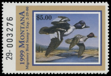 Picture of 1999 Montana Duck Stamp