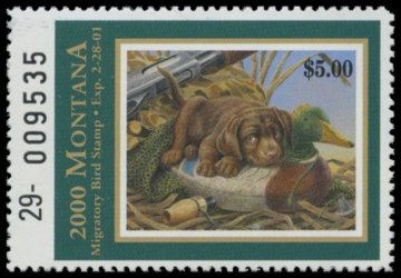 Picture of 2000 Montana Duck Stamp