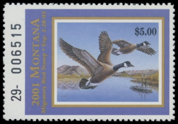 Picture of 2001 Montana Duck Stamp