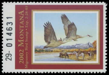 Picture of 2002 Montana Duck Stamp