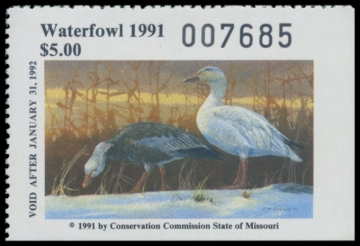 Picture of 1991 Missouri Duck Stamp