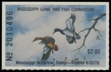 Picture of 1977 Mississippi Duck Stamp