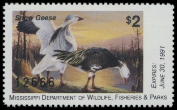 Picture of 1990 Mississippi Duck Stamp