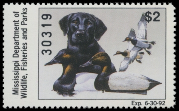 Picture of 1991 Mississippi Duck Stamp