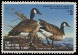 Picture of 1981 Minnesota Duck Stamp