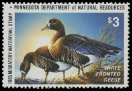 Picture of 1985 Minnesota Duck Stamp