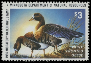 Picture of 1985 Minnesota Duck Stamp