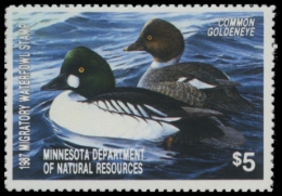 Picture of 1987 Minnesota Duck Stamp