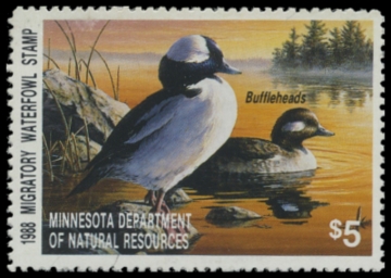 Picture of 1988 Minnesota Duck Stamp