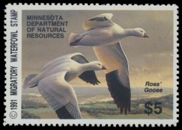 Picture of 1991 Minnesota Duck Stamp