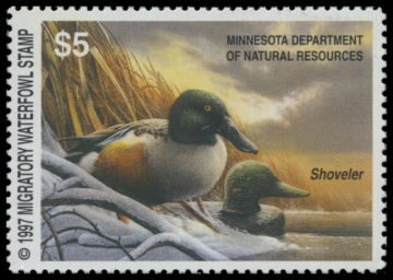 Picture of 1997 Minnesota Duck Stamp