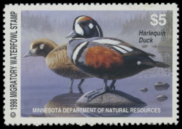 Picture of 1998 Minnesota Duck Stamp