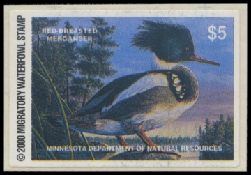 Picture of 2000 Minnesota Duck Stamp